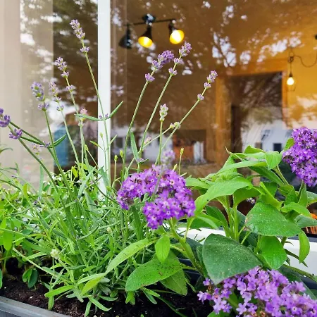 Suedwind - Beautiful Premium With 2 Bedrooms Near Rhine Falls & Zurich Airport In Klettgau דירה