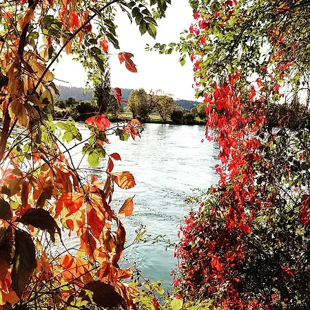 דירה Suedwind - Beautiful Premium With 2 Bedrooms Near Rhine Falls & Zurich Airport In Klettgau *