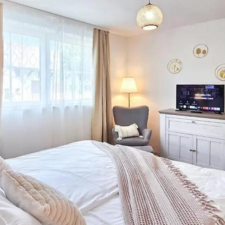 Near Rhine Falls Perfect For Families Ev Charger Apartment